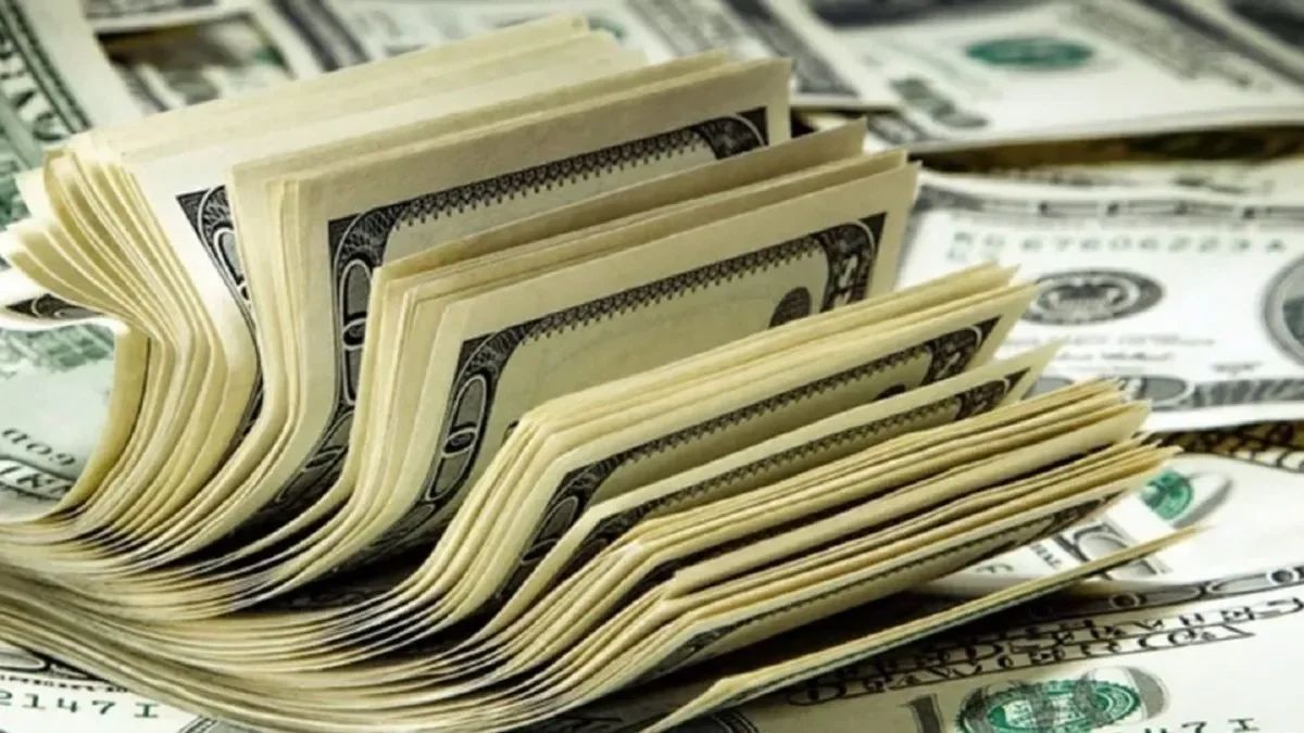 Impacto en la economía: el dólar oficial se mantiene estable mientras el blue sigue fluctuando